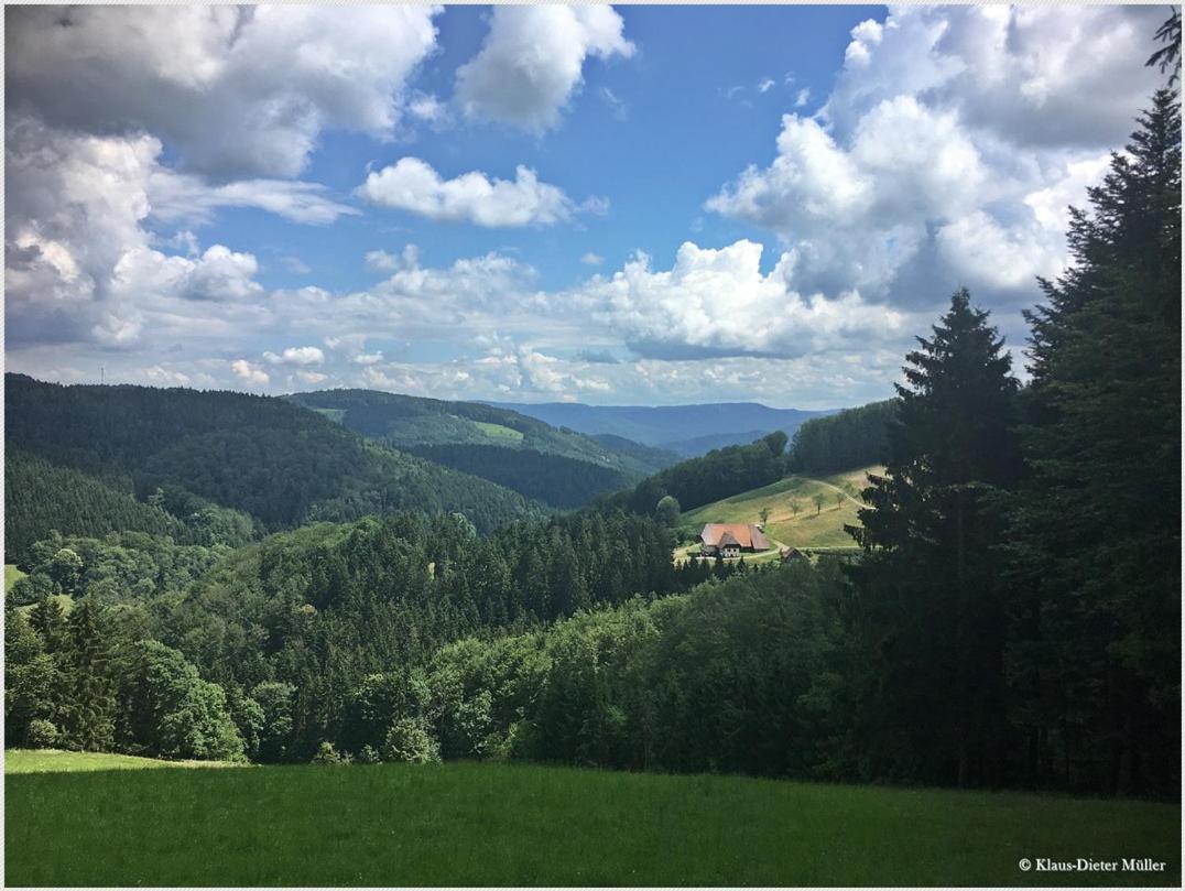 Haus Am Waldrand Villa Triberg im Schwarzwald ภายนอก รูปภาพ