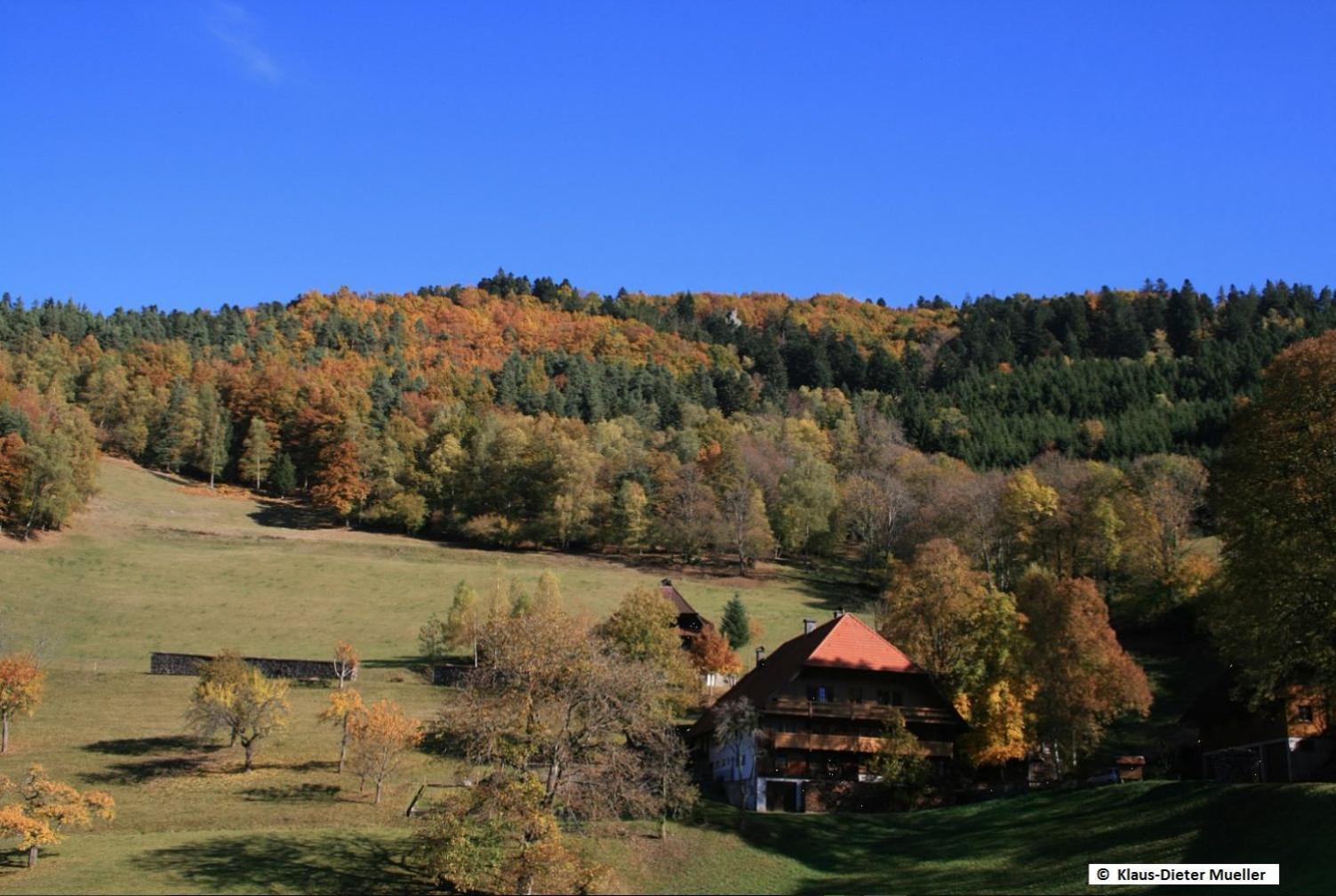 Haus Am Waldrand Villa Triberg im Schwarzwald ภายนอก รูปภาพ