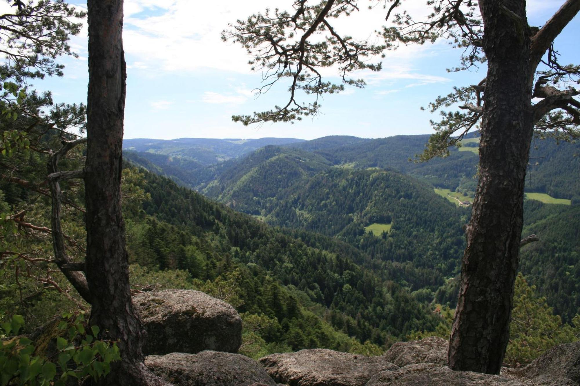 Haus Am Waldrand Villa Triberg im Schwarzwald ภายนอก รูปภาพ