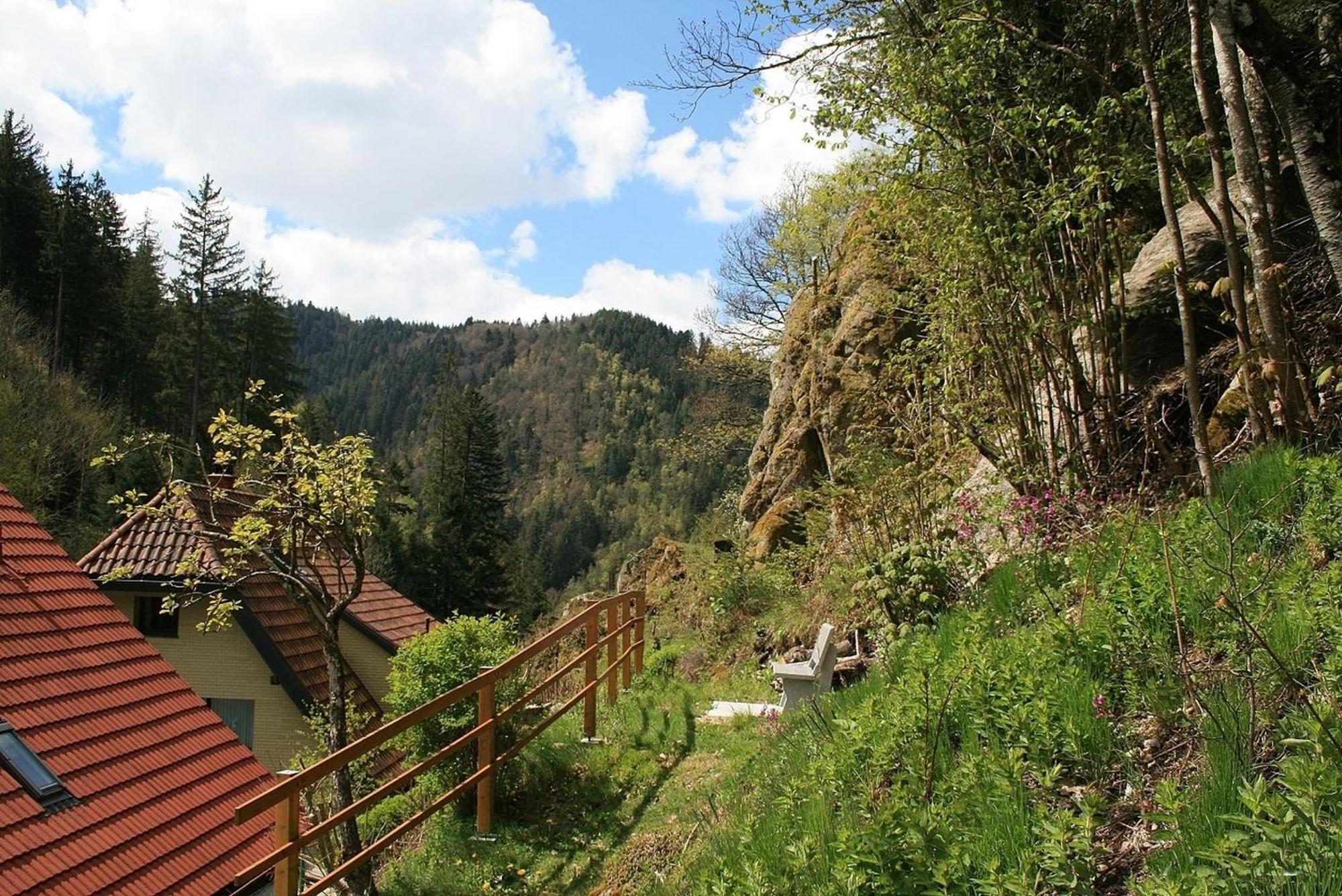 Haus Am Waldrand Villa Triberg im Schwarzwald ภายนอก รูปภาพ