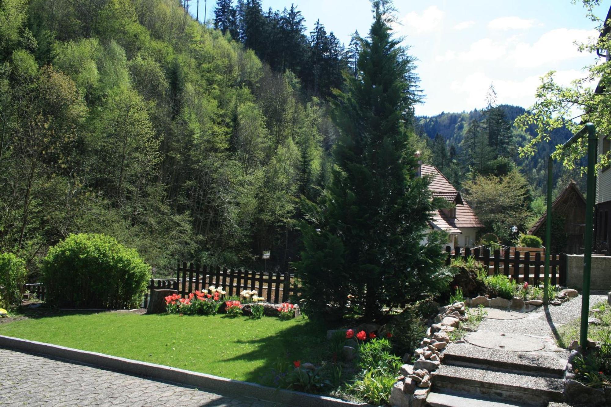 Haus Am Waldrand Villa Triberg im Schwarzwald ภายนอก รูปภาพ