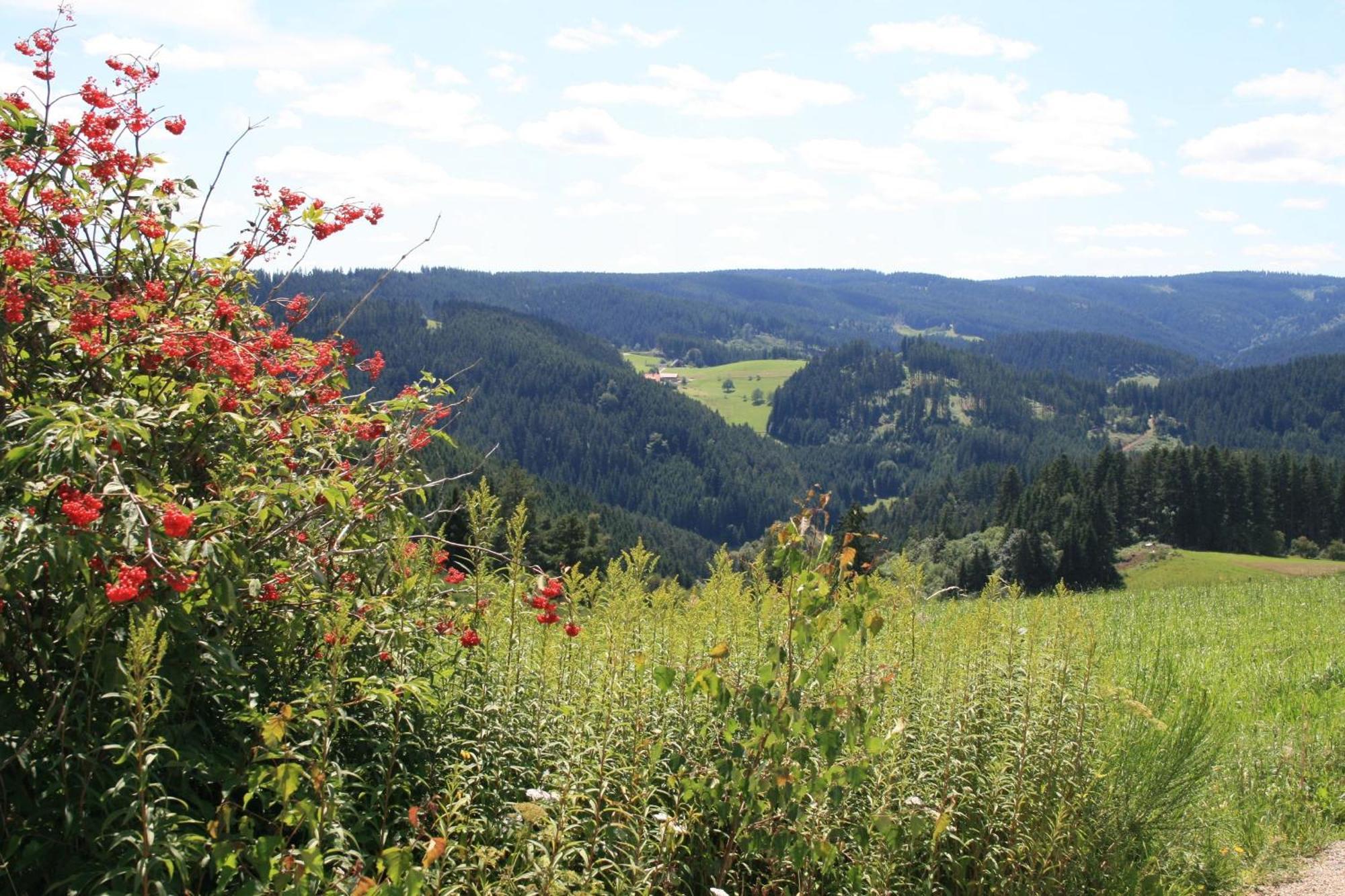 Haus Am Waldrand Villa Triberg im Schwarzwald ภายนอก รูปภาพ